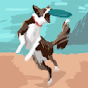 Meet your Posher, Caitlin